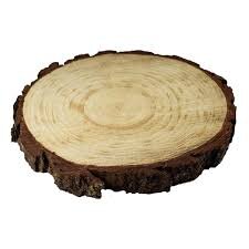 Natural Wood Slice Centerpiece