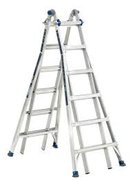 10' Commercial Ladder