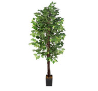 Green Ficus 8Ft Tree with Slate Planter