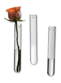 Hanging Test Tube Bud Vases (Set of 3)