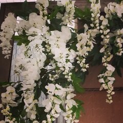 Faux White Wisteria