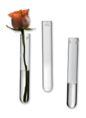 Hanging Test Tube Bud Vases (Set of 3)