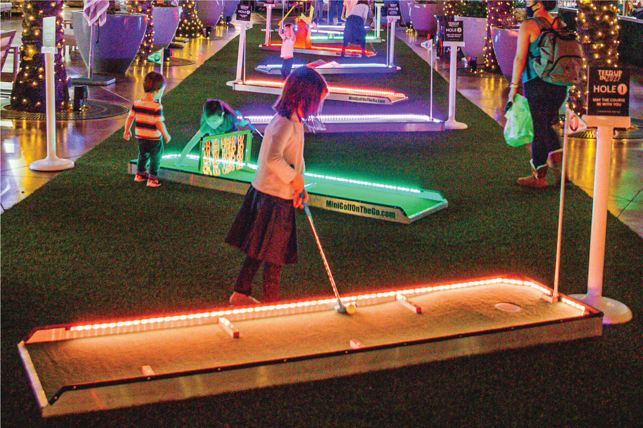 Portable 9 Hole Mini Golf Course Rental Roselle