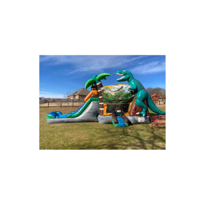 Bounce House with Slide Rentals Hinsdale IL Bounce House with Slide Rentals Hinsdale IL
