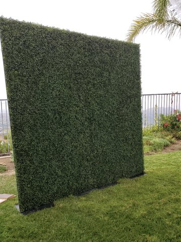 HEDGE WALL 8FTx8FT