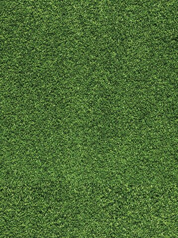 12x20 Green Turf 