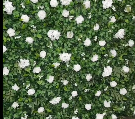 8x4 green and white flower hedge wall 