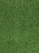 12x20 Green turf