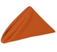 Burnt orange napkin(10pk)