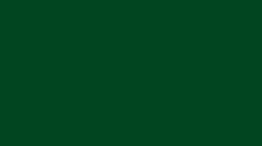 60'120' Pine Green rectangle polyester tablecloth