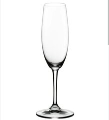 Champagne flute 10pk