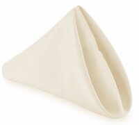 Ivory polyester napkin (10pk)