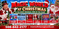 CHRISTMAS RENTALS