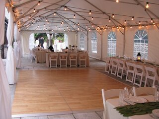 25 FT STRING LIGHTS