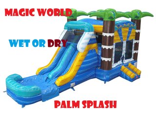PALM SPLASH COMBO WITH DOUBLE SLIDE *NEW*