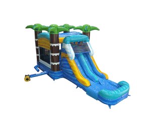 PALM SPLASH COMBO WITH DOUBLE WATER SLIDE