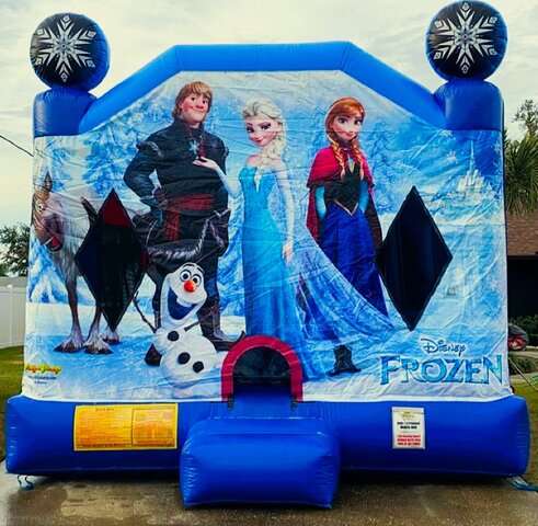 Frozen Combo Bounce House with Slide Dry