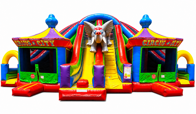 The Circus 