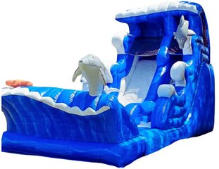 20ft Dolphin Dive - Face Down Sliders w/ Oversized Splash Pool