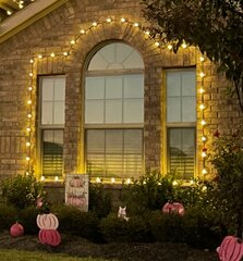 Windows - Christams Lights