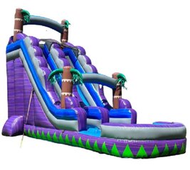 22ft Purple Crush Tropical Slide w/ Huge Pool