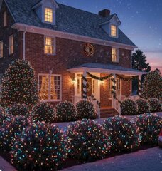 Bushes - Christmas Lights