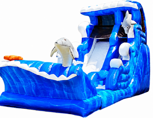 20ft Dolphin Dive - Face Down Sliders w/ Oversized Splash Pool
