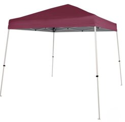 10X10 Canopy ( No Vent )