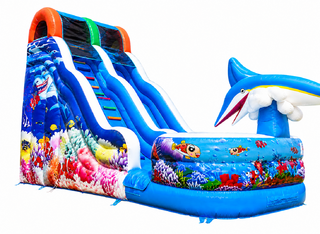 21FT Mighty Marlin w/ Large Inflated Pool - Wet & Dry