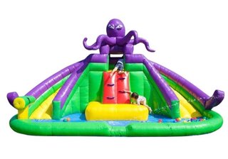 Octopus Dual Water Slide with Splash Pool & Cannon 