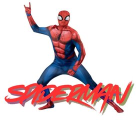 SPIDERMAN   $150.00