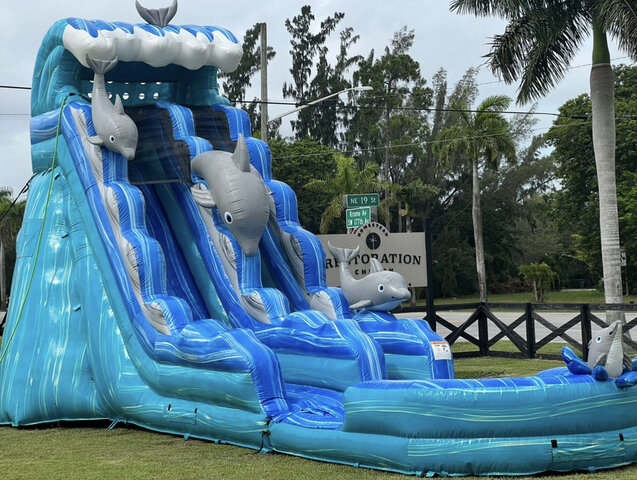 22 DOLPHIN SLIDE WITH THE POOL