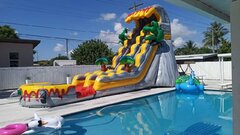 T REX SLIDE WITH POOL