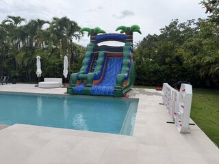 Tropical Green For The Pool