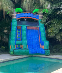 Tropical Green For The Pool