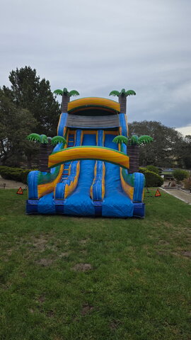 Tropical Dual Waterslide 