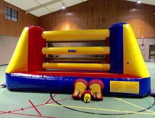 Boxing Arena 