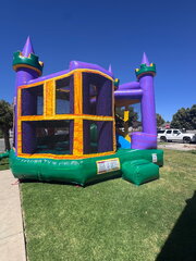 Purple Castle 5 in 1 Combo 