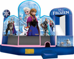 For the best inflatable house rentals in Naperville, check out Frozen Combo Wet n Dry Jump House rentals. They offer a variety of bounce house and water slide rentals, including Moon Jumps and Moonwalks.