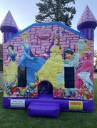 DISNEY PRINCES 17WX17LX16H slide inside