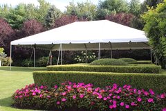 Frame Tent Party Packages