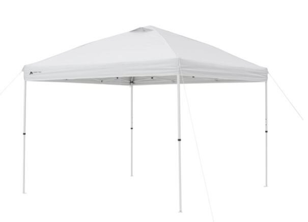 10 x 10 White Tents