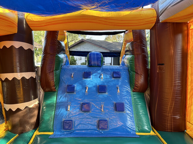 Dino Dive - Inflatable Rentals in Plant City, Lakeland, Valrico