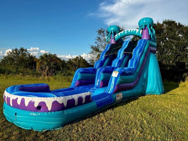 Mancini Party Rentals - bounce house rentals and slides for parties in  Hudson