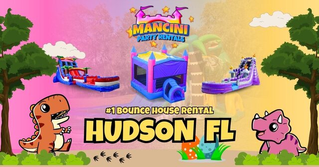 Mancini Party Rentals - bounce house rentals and slides for parties in  Hudson