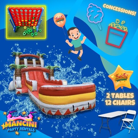 Deluxe Double Lane Water Slide Party Package