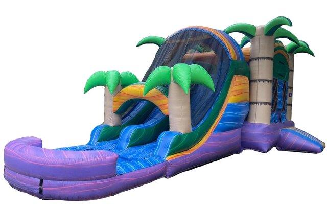 Mancini Party Rentals - bounce house rentals and slides for parties in  Hudson