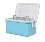 Large Portable Cooler - Ice Not Included