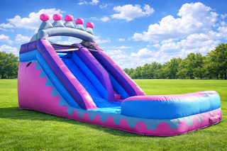 14ft Pink Princess Waterslide