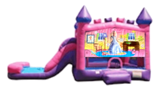 Barbie Pink Purple Combo Dry Slide